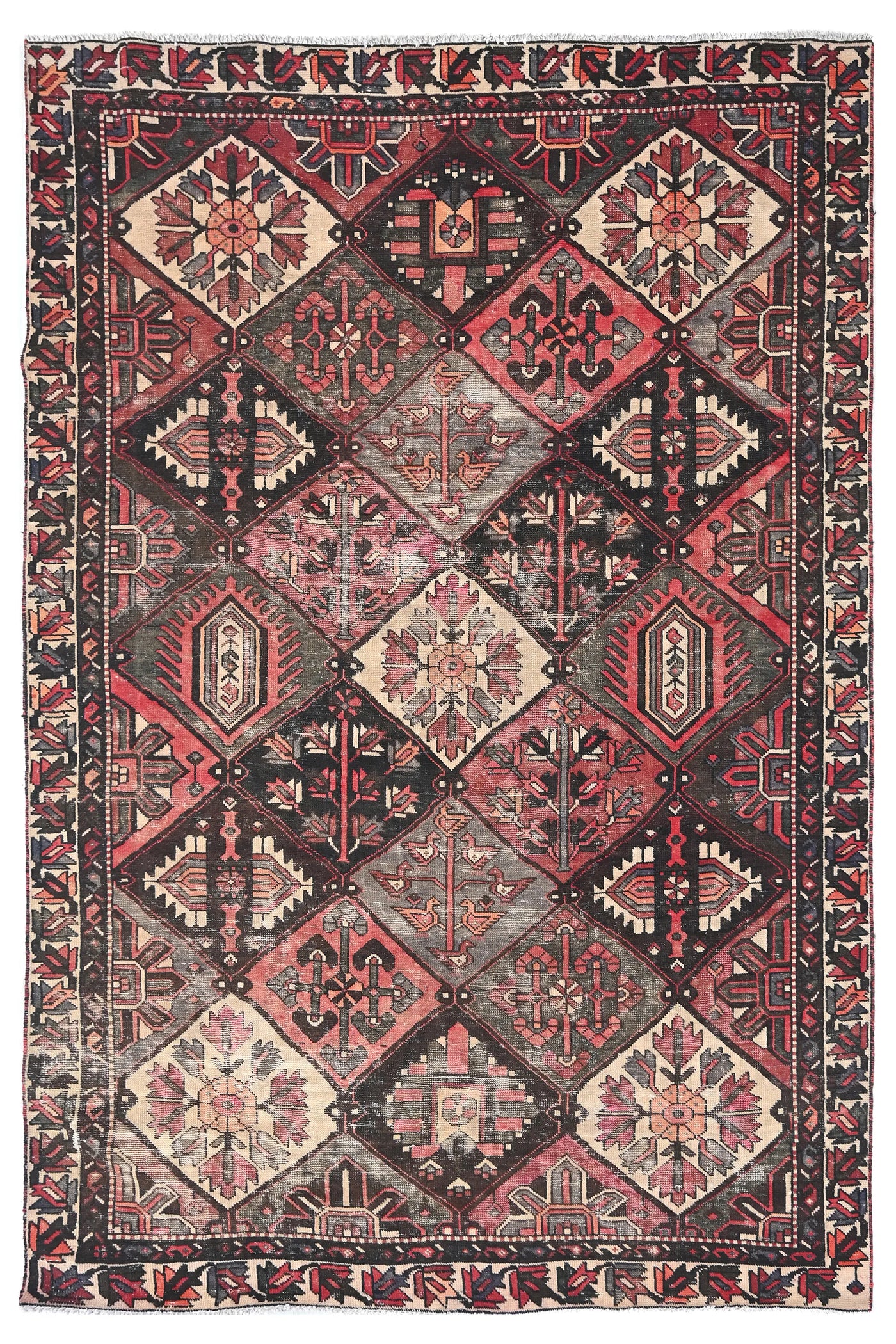 Vintage Bakhtiari Rug – Diamond Garden
